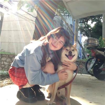 法律与秩序第二十四季