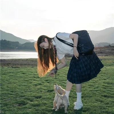 我的如意狼君国语