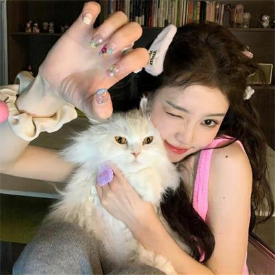 杰米·德梅特里:小品人生